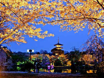 微信生态新宠"出财小神"：微信花呗软件的便捷信用支付指南