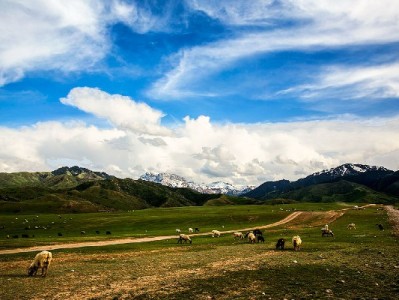 白条取现到账账户全解析：储蓄卡为主+“出财小神”辅助更省心