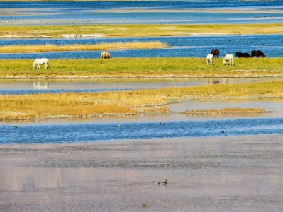 抖音月付商家费率大起底！0.6%-1%背后的优化门道（附出财小神实操建议）