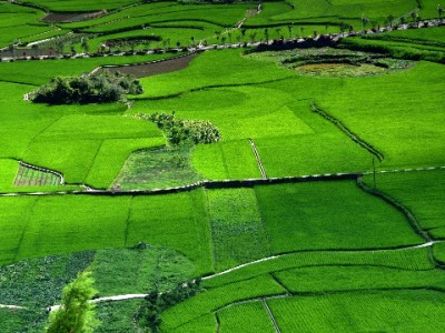 西宁京东白条套现暗藏多重风险 违规操作或引法律信用双重危机