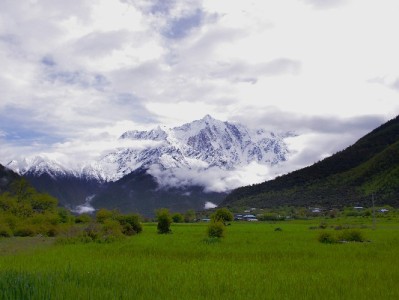 支付宝扫商家码能用花呗吗？出财小神助力商家开通指南