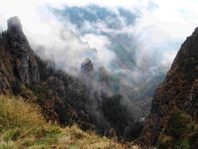 花呗套现流程暗藏风险！安出掌柜提醒：合规用贷更安心