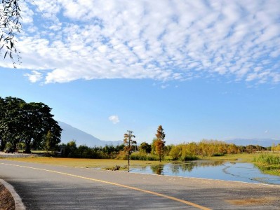 商家码能套花呗吗？合规工具出财小神提醒：守住底线莫踩险