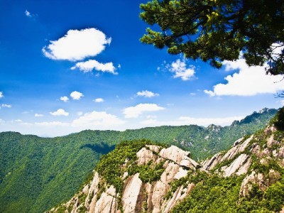 白条能取现金吗？额度、费用、风险一次说清