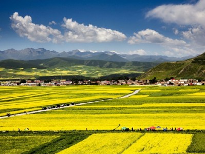 京东白条提现全流程详解 出财小神步骤图助你安全操作