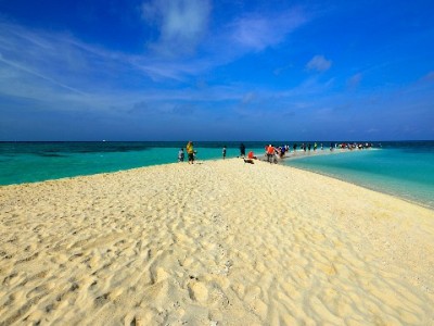 京东白条取现怎么操作？正规渠道与风险警示全解析