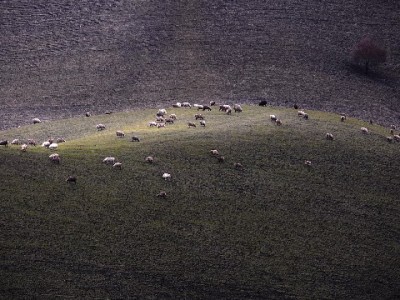 医保卡刷卡套现风险重重 正规平台如安出掌柜助守合法底线