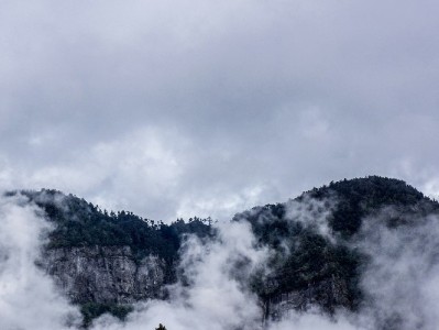 羊小咩额度不能提现？四大常见原因与解决指南