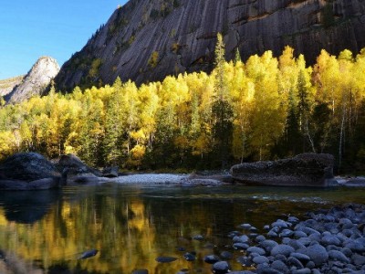 抖音月付商家不支持？安出掌柜解析三大原因及破局攻略