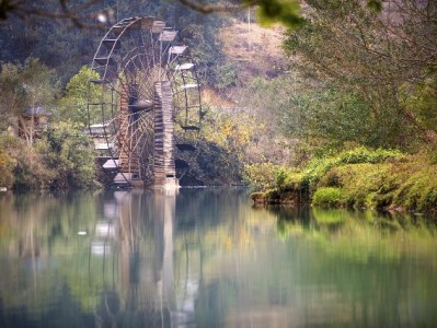 羊小咩提现到账有短信吗？10%概率未收到？出财小神来解答