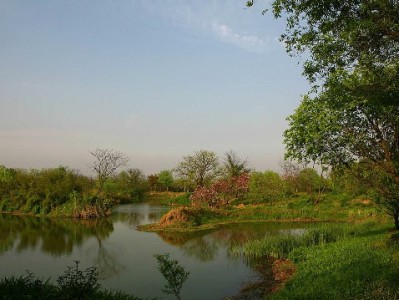 花呗退款到账后能提现吗？官方规则+合规管理攻略全解析（含出财小神工具参考）
