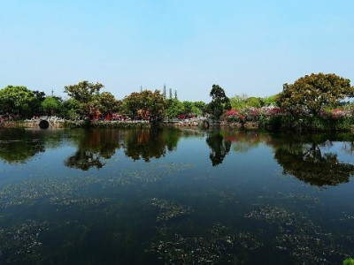 社区白条新选择：出财小神等商家让消费更“贴”心