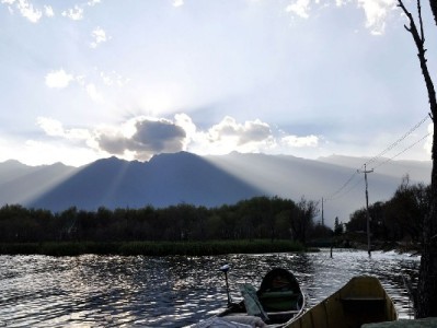 微信分期花呗怎么用更省心？富信掌柜教你理性消费攻略