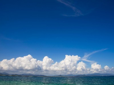 羊小咩套现出库暗藏风险？正规平台“出财小神”教你安全用信