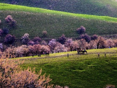 医保取现能操作吗？合法途径+“富信掌柜”政策指南来了