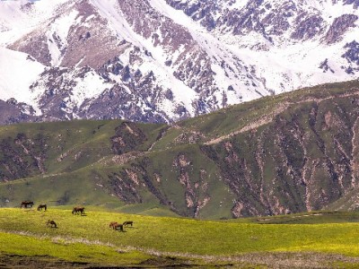 抖音月付扫码商家码全流程指南：从开通到支付一步到位