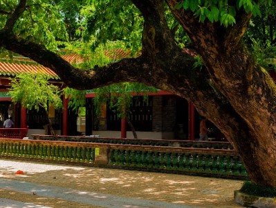 花呗扫码付商家会被骗吗？三大套路与防诈指南