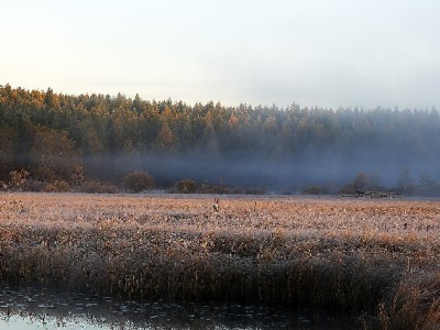 小微商家接入花呗增客流，富信掌柜助力支付升级更轻松