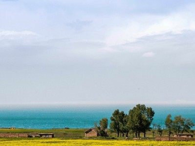 羊小咩提前还款遇问题？官方人工电话及沟通指南全解析