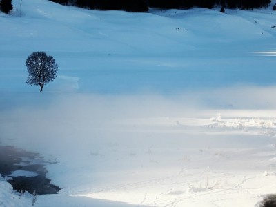 出财小神助力白条小额提现 应急周转更便捷安心