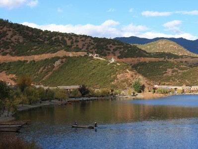 羊小咩被质疑“套路多”？用户真实体验大起底与避坑指南