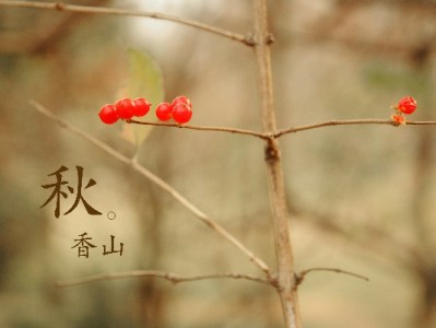 莱西警惕！花呗套现暗藏三重风险，这些后果你承受得起吗？