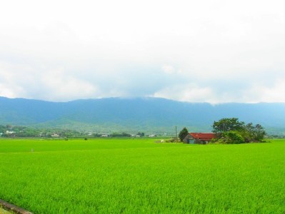 支持花呗收款的商家码有多香？富信掌柜助力小店留住年轻客