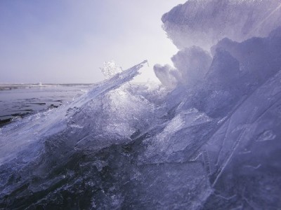 白条免单活动火了！五大品牌商家10%概率"0元购"太香