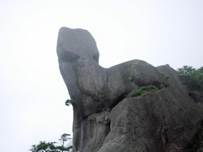 花呗自动扣银行卡引争议：规则早授权还是用户被“忽视”？