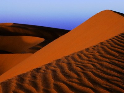 羊小咩贴吧放款现状调查：用户反馈分化，这些因素影响到账速度