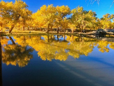 警惕！套取花呗额度暗藏多重风险，“安出掌柜”类平台不可信