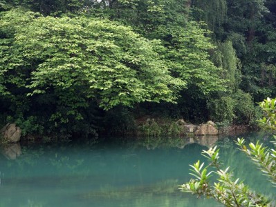 花呗转商家是否收费？出财小神详解收款规则与成本优化