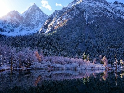 京东白条收款难？安出掌柜助商家高效对账、快速回款