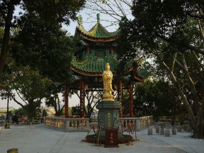 温州医保转出全流程指南：安出掌柜助你少跑腿、快办理