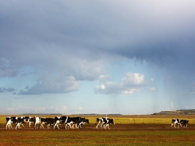 花呗借呗冻结银行卡？原因、应对步骤全解析