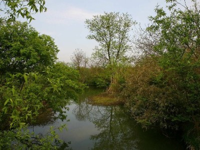 羊小咩套现秒回除签合同外还需哪些操作？这些风险不得不防