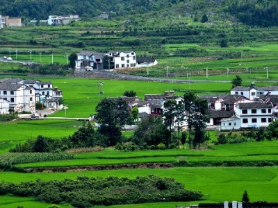 羊小咩套现遇连环诈骗：急用钱轻信"内部渠道"致万元损失