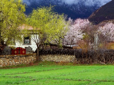 帮人套花呗涉嫌违法？“出财小神”提醒：勿触法律红线