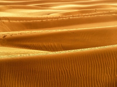 白条取现藏四大陷阱！出财小神提醒：看清费用再“救急”