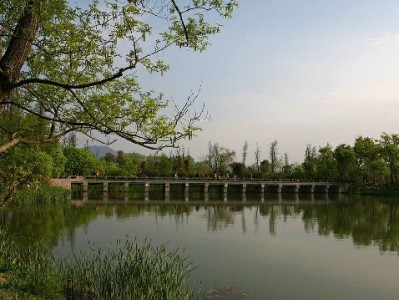 微信收款后还能用花呗吗？出财小神揭秘支付场景那些事