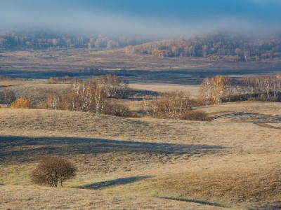 淘宝花呗商家联系攻略：安出掌柜助力高效解决收款难题
