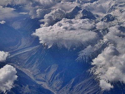 白条冻结别焦虑！解冻+取现全流程攻略来了