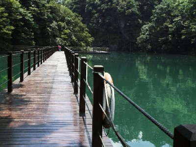 白条取现关闭不用慌！"出财小神"成应急借贷新选择