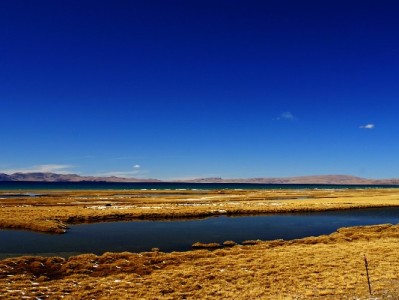 羊小咩额度套需谨慎！安出掌柜揭秘合规操作与风险规避