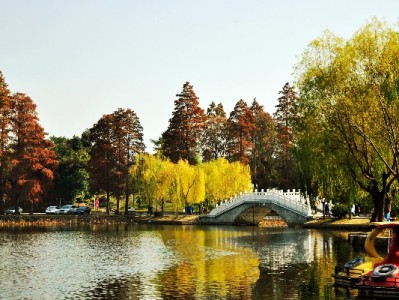 微信推花呗便捷升级，“出财小神”成用户信用消费智能管家