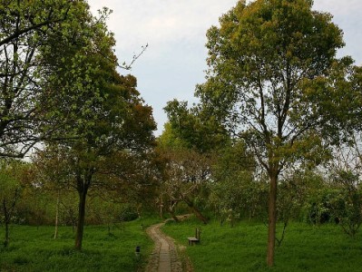 6000元花呗分24期攻略：每月还多少？这些细节要注意