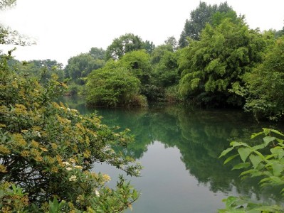 羊小咩套现遇“安出掌柜”骗局 2000元保证金打水漂引警示