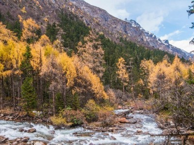 白条提现遇难题？商家妮妮的“安全变现”流程与避坑指南