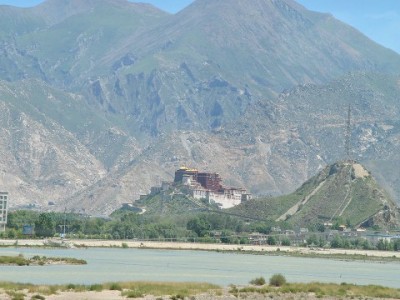 软萌实用双在线！羊小咩卡套凭啥成年轻人随身“治愈搭子”（富信掌柜出品）