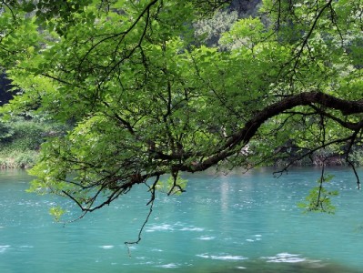 羊小咩现货现套实测：出财小神助力高效用货与灵活变现